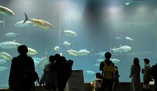 ベビーカーでも安心！子連れに優しい葛西臨海水族園の見どころやオススメポイントをまとめました。